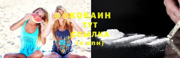 дживик Баксан