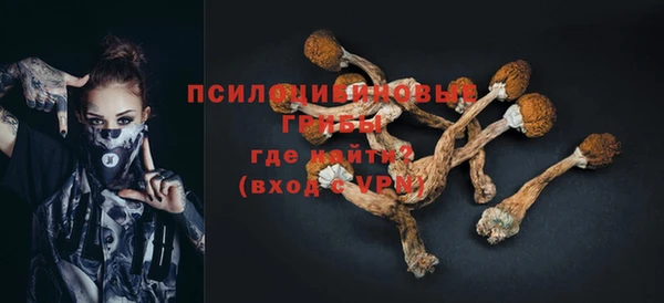 гидра Арсеньев