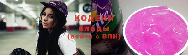 гидра Арсеньев
