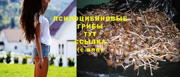 гидра Арсеньев