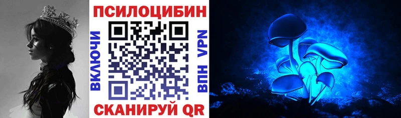 где купить   Озёрск  Псилоцибиновые грибы MAGIC MUSHROOMS 